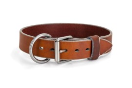 Leather Dog Collars | Pawlane