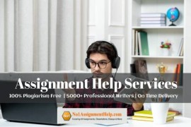 Professional Assignment Help By No1AssignmentHelp