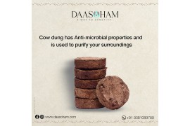 Cow Dung Cake India