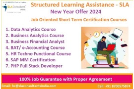 Business Analyst Course in Delhi,100% Job