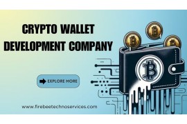 Pioneering Crypto Wallet Development Company
