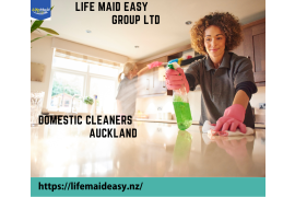 Domestic cleaners Auckland