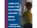 southwest-airlines-minor-policy-flyofinder-small-0
