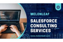 Melonleaf's Salesforce Consulting Services